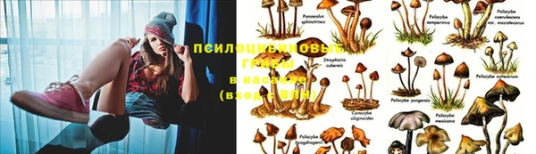 прущая мука Зеленодольск
