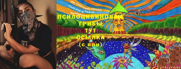 Альфа ПВП Балахна