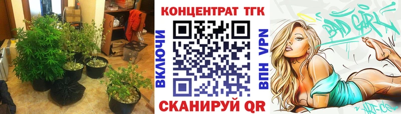 как найти наркотики  Городище  ТГК гашишное масло 