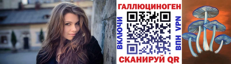 Псилоцибиновые грибы Psilocybine cubensis Городище