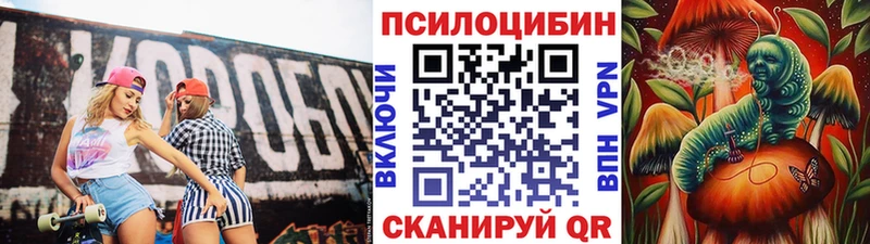 Псилоцибиновые грибы Psilocybe Городище