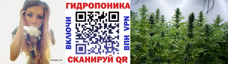 Каннабис LSD WEED  даркнет сайт  Городище 
